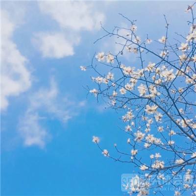 寻宝原始人红包版最新版下载
